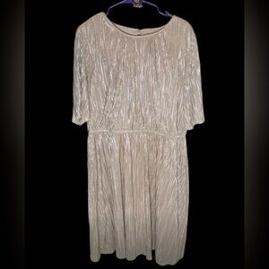 14/16 Lane Bryant Dress